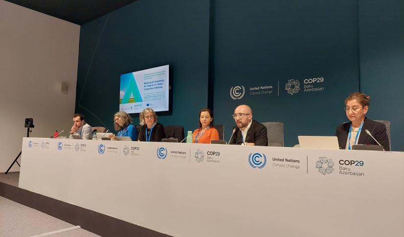 COP29 High-Integrity